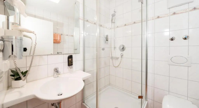 Двухместный номер Business Hotel Restaurant Vater Rhein
