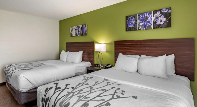 Четырёхместный номер Standard Sleep Inn Bowling Green North