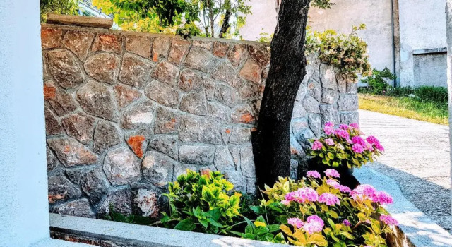 Студия Villa Beba - Apartments