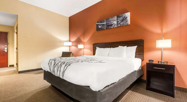 Двухместный номер Standard Sleep Inn & Suites Dyersburg I-155