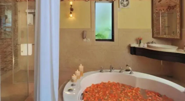 Полулюкс Rajasthali Resort & Spa