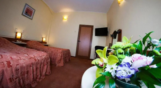 Camera doppia Economy mansarda Hotel Astoria City Center