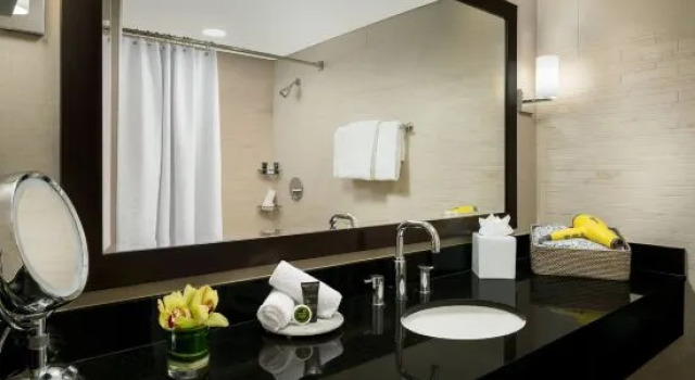 Двухместный номер Petite Hyatt Centric Arlington