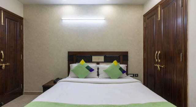 Номер Economy Treebo MVM Residency