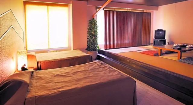 Двухместный номер Standard Hotel Seiryu