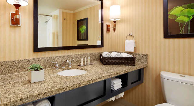 Двухместный люкс DoubleTree by Hilton LAX - El Segundo