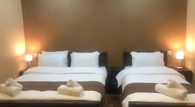 Апартаменты Standard Borjomi Yellow Hotel