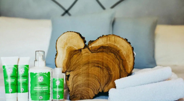 Номер Standard Agriturismo Vallerana