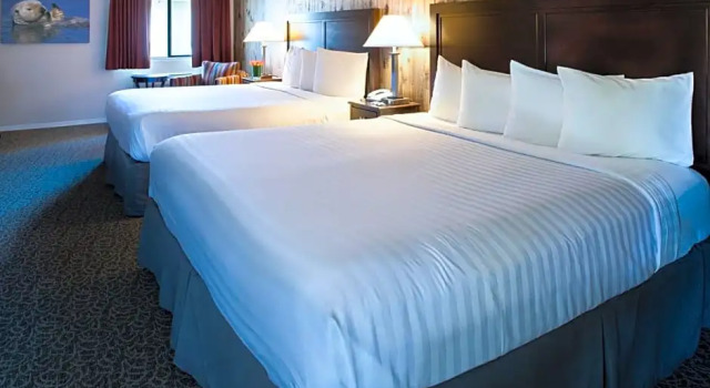 Номер Deluxe Mission Inn