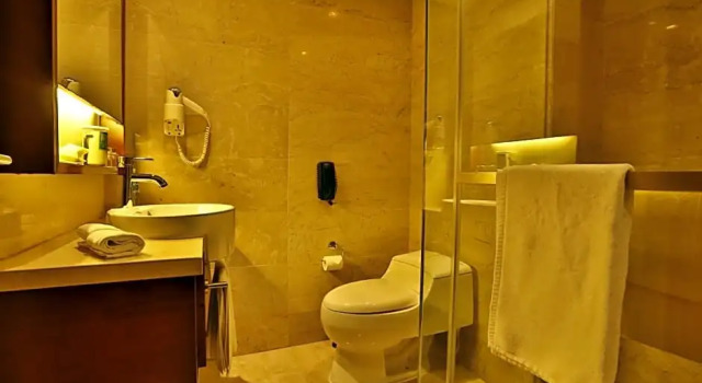 Двухместный номер Deluxe Rayfont Downtown Hotel Shanghai (Xuhui)