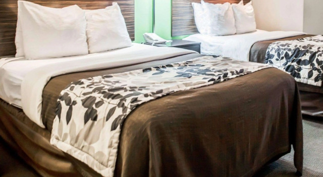 Четырёхместный номер Standard Sleep Inn Fredericksburg North