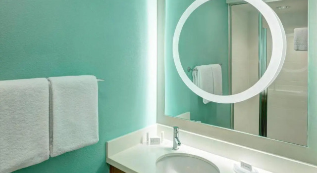 Двухместная студия SpringHill Suites by Marriott Orlando at SeaWorld