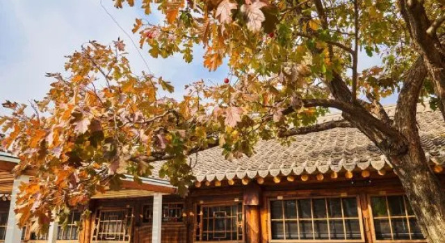 Beijing Banquan Zhiye Tingyu Homestay, Rezerwuj Hotel Pekin Pekin
