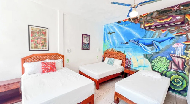 Семейный номер Standard с красивым видом из окна ITH Sayulita Amazing Surf Hostel