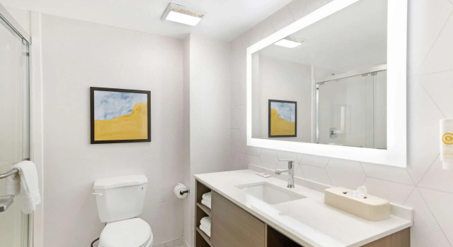 Двухместный люкс Comfort Suites Northside Hospital Gwinnett
