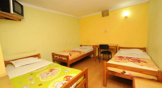 Номер Standard Hotel Himalaya Yoga