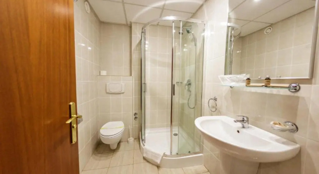 Одноместный номер Standard Hotel Rivulus