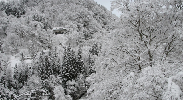 Sakamaki Onsen Kawatsuya, Rezervovat Hotel Tsunan Niigata