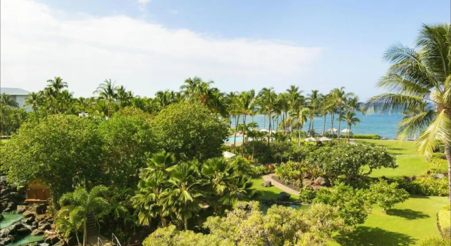 Номер Standard Fairmont Orchid