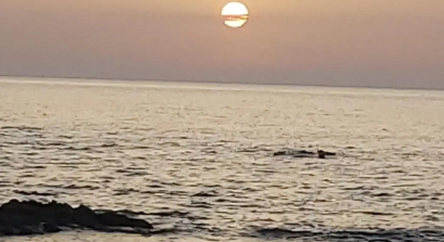 Bilocale Vista Mare - C6