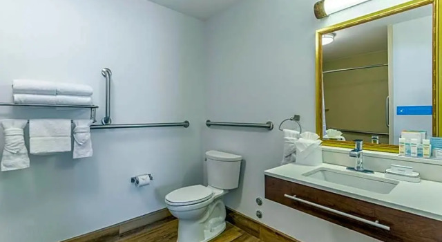 Студия Hampton Inn & Suites Chicago - Libertyville