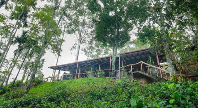 Номер Deluxe The Spice Lodge
