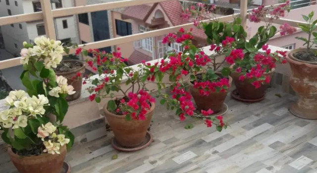 Студия Apartment Rupas