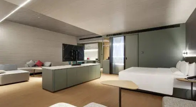 Люкс Standard Novotel Yinchuan Lanxigu