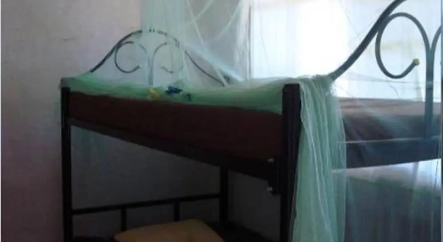 Семейный номер Standard с видом на сад Madera Labrada Lodge Ecologico