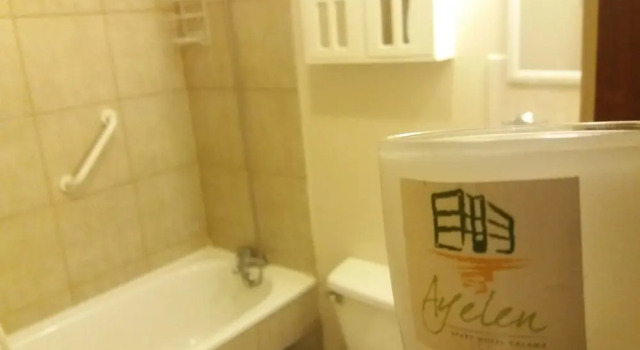 Апартаменты Ayelen Apart Hotel