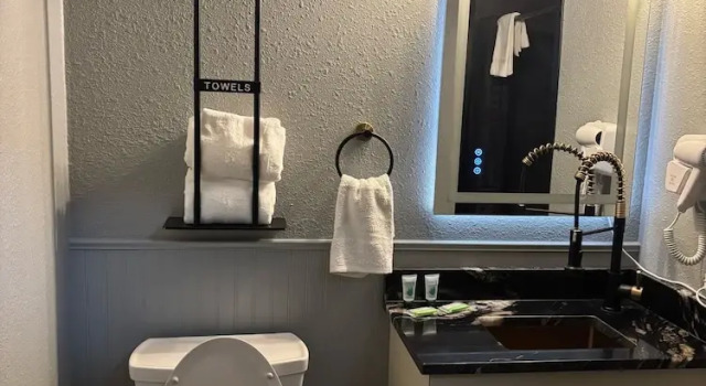 Люкс Plymouth Suites