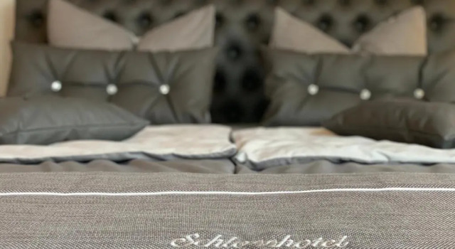 Номер Deluxe Schlosshotel Eyba