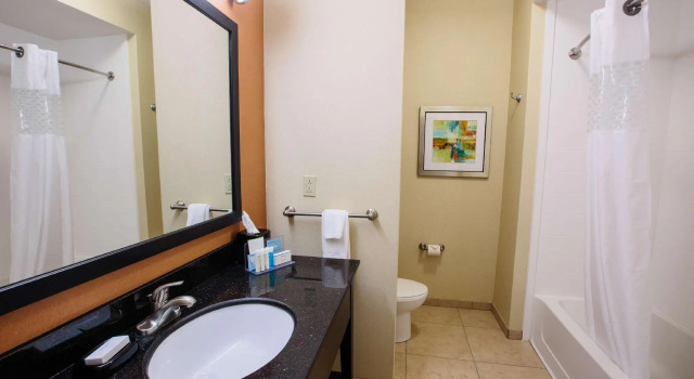 Четырёхместный номер Standard Hampton Inn & Suites Effingham