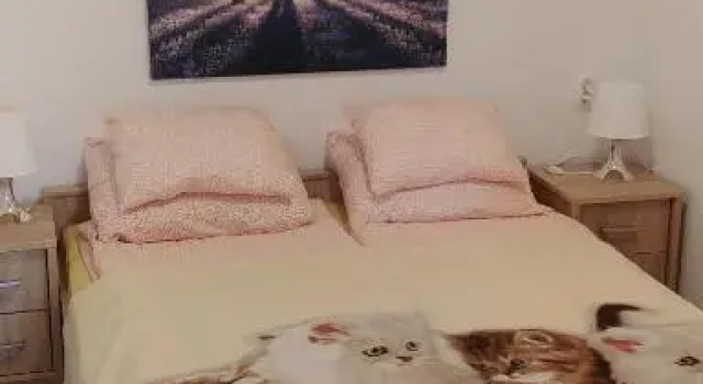 Siesta Üdülő, Reserva ahora Hotel Igal Somogy