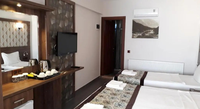 Трёхместный номер Standard с балконом Dolphin Apart Hotel