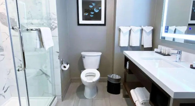 Номер Standard Embassy Suites by Hilton Plainfield Indianapolis Airport