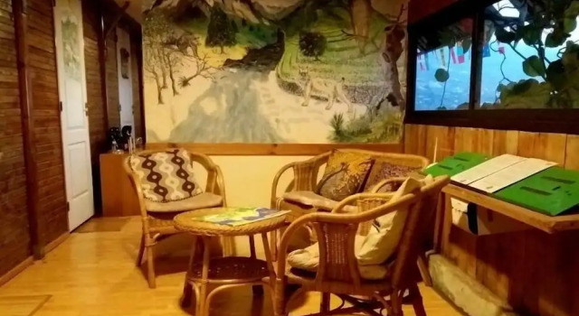 Hostal Mamio Verde