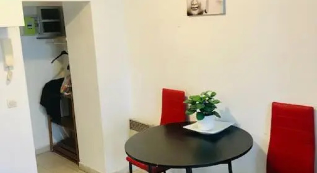 VERY LARGE STUDIO in the center of Fontainebleau