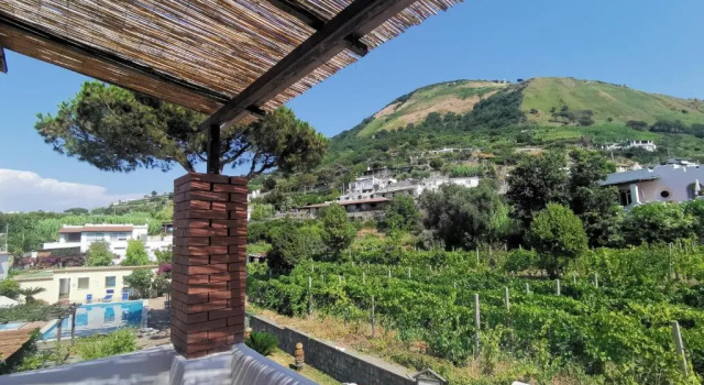 Номер Standard Villa Olivia Residence Ischia - nel Verde con Piscine e Vista Mare