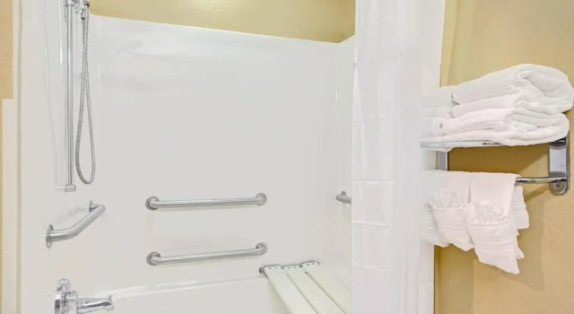 Четырёхместный номер Standard Microtel Inn & Suites by Wyndham Bushnell
