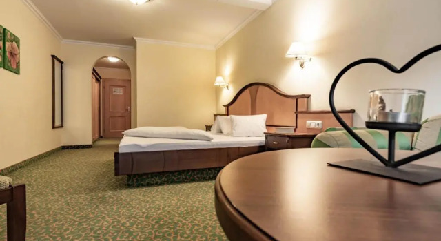 Номер Superior Hotel Berghof Mayrhofen