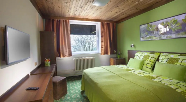 Номер Standard Hotel Tetřeví Boudy