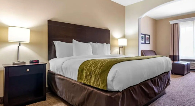 Люкс Comfort Inn & Suites Scott-West Lafayette