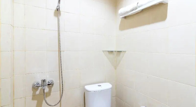 Люкс Standard Hotel O Travel-inn