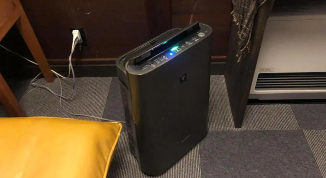 Номер Luxury Rickshaw inn