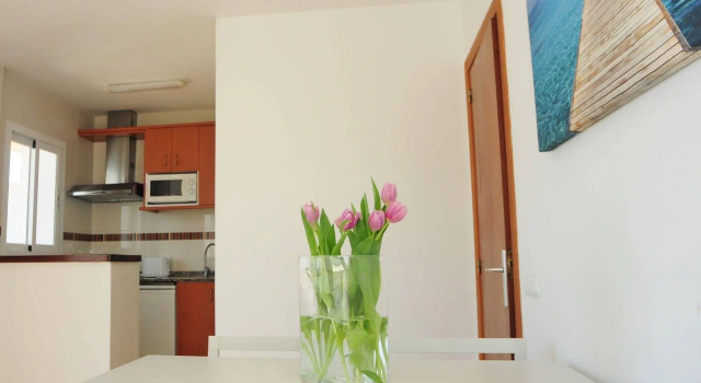 Apartamentos Avenida, Book Lejlighed Ivisa 