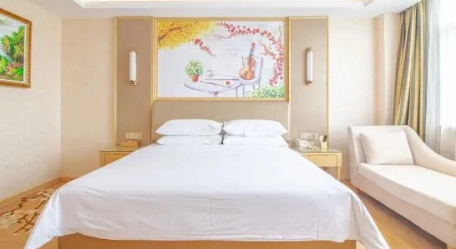 Люкс Superior Vienna International Hotel (Jinan Shandong International Convention and Exhibition Center)