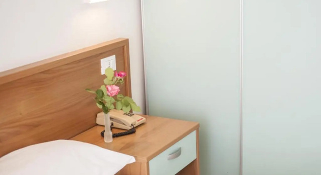 Одноместный номер Standard Hotel Telstar