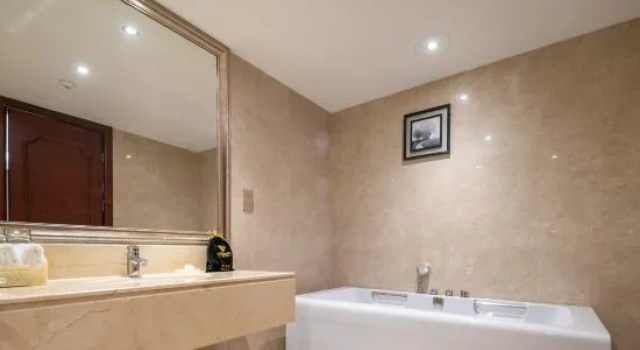 Люкс Business Vincent International Hotel