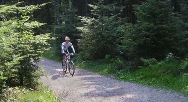 Gasthof Krone, Reserva ahora Hotel Schuttertal Selva Negra